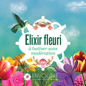 elixir fleuri box de the envouthe 